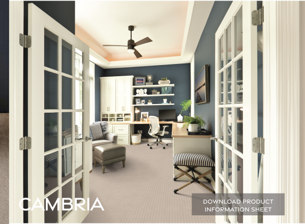 CAMBRIA-03