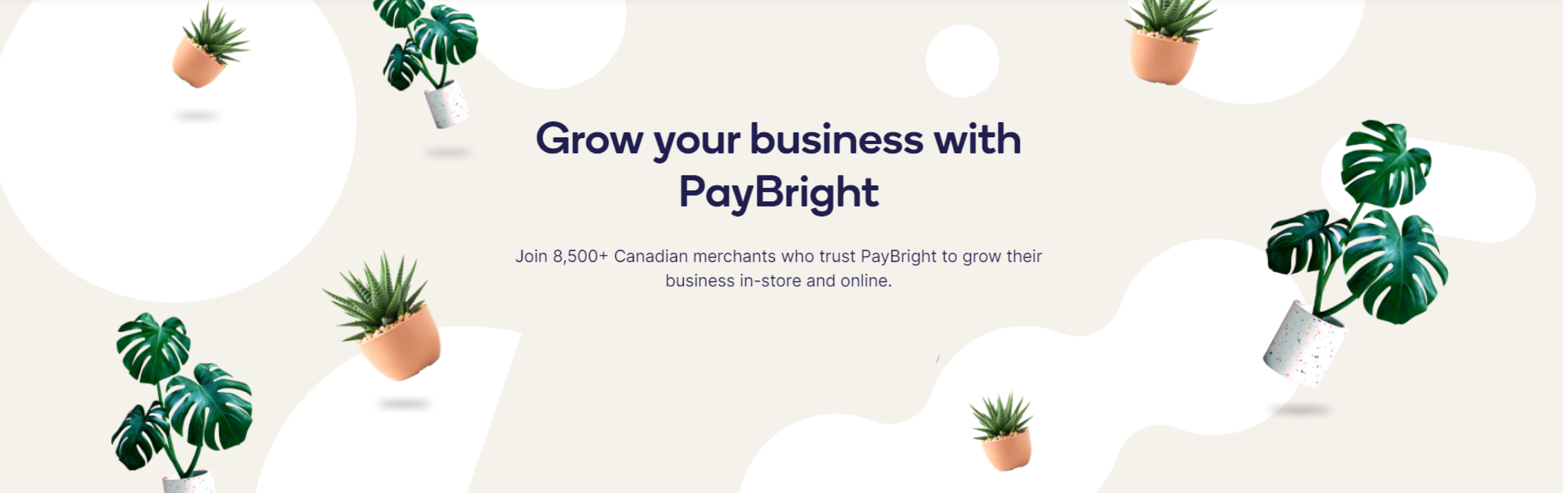 Paybright Working Doc-08
