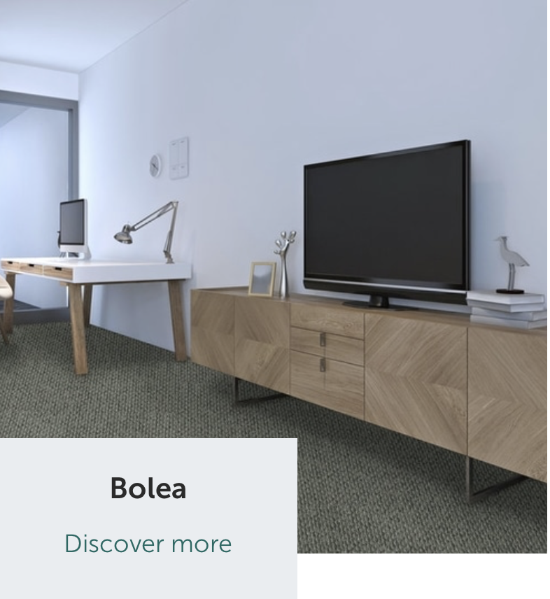 Bolea