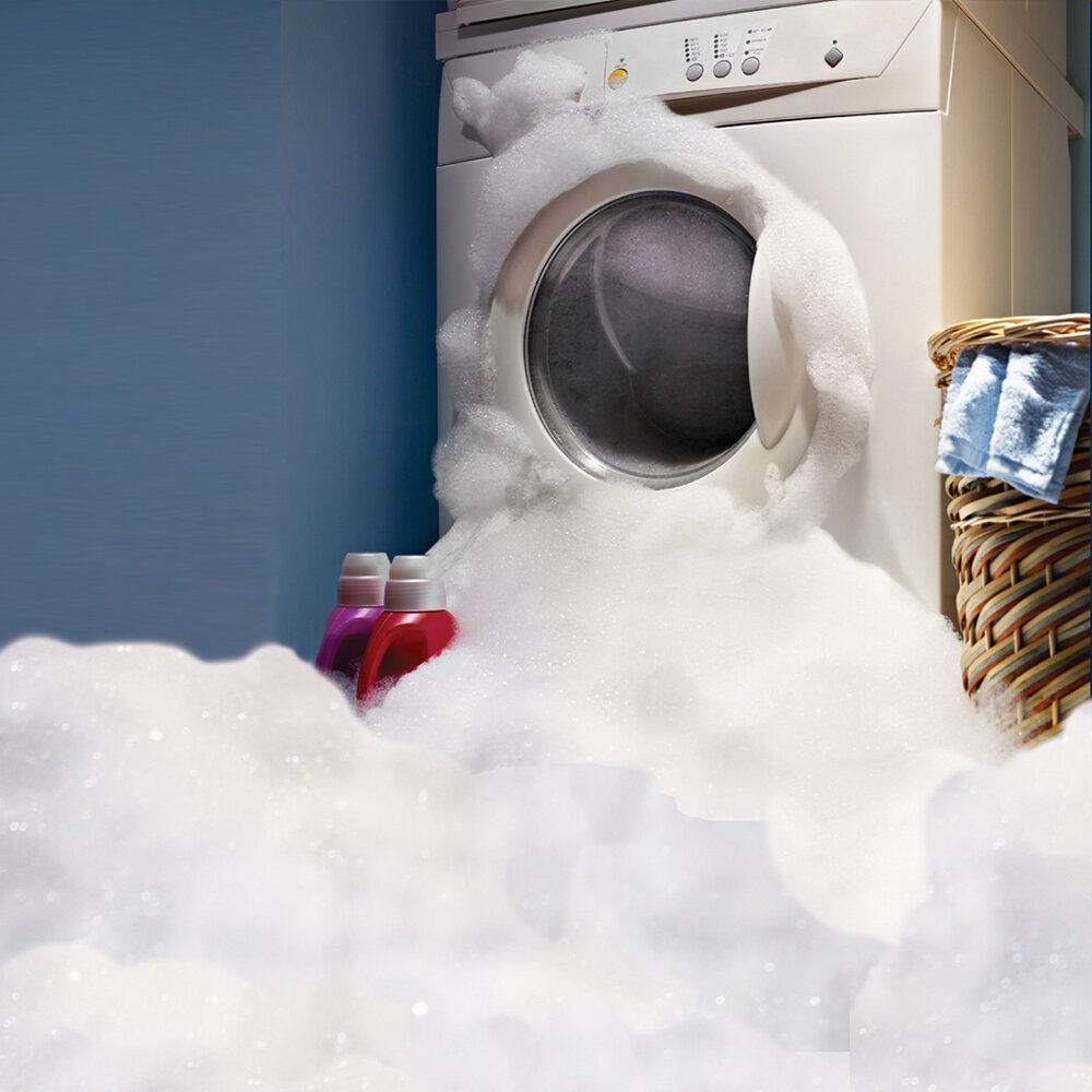 Laundry Everwood547