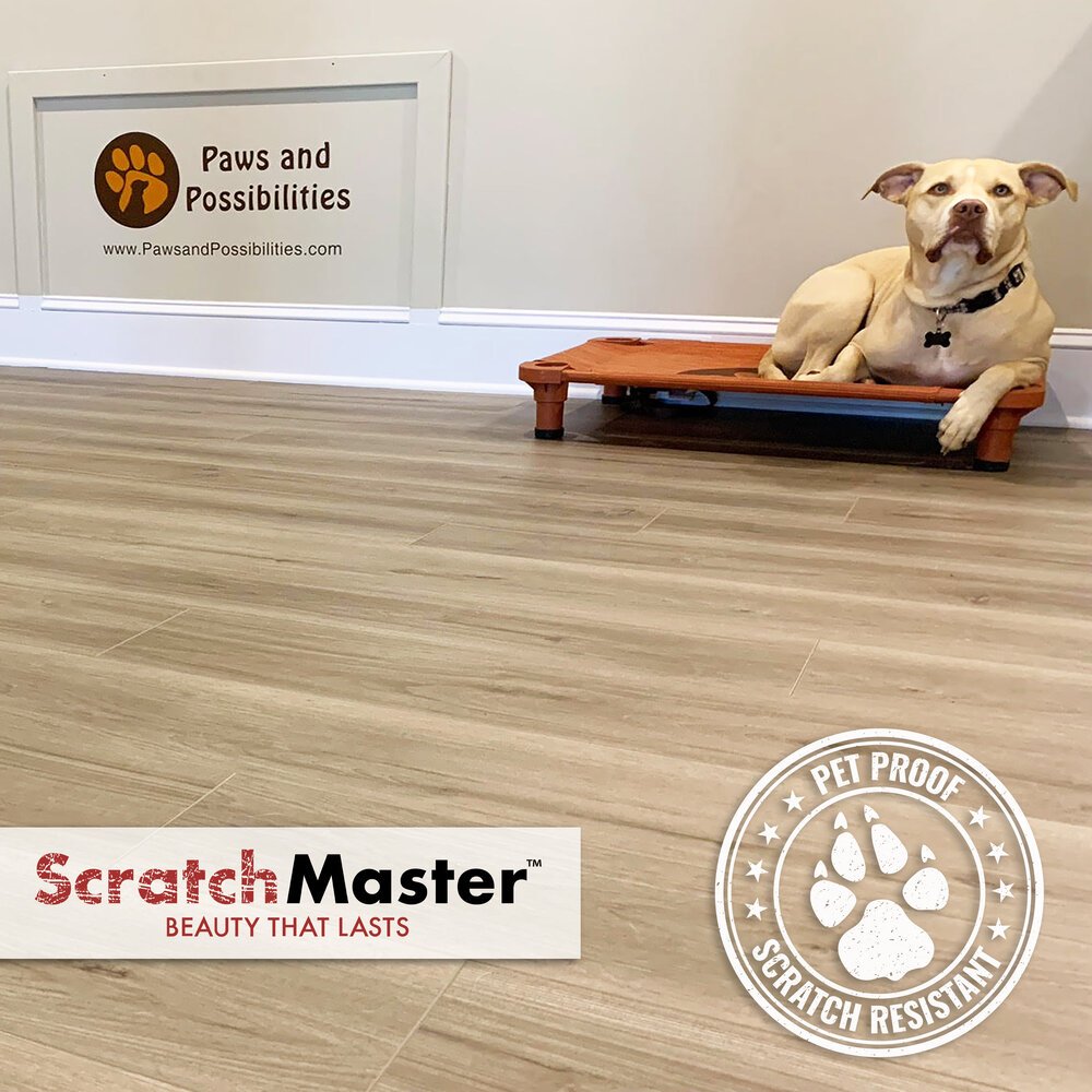 Paws+and+Possibilities-POST1