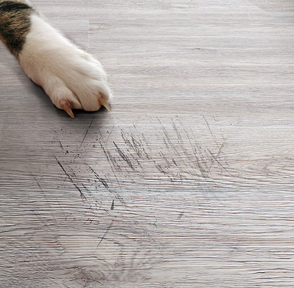 ScratchPaw Everwood547