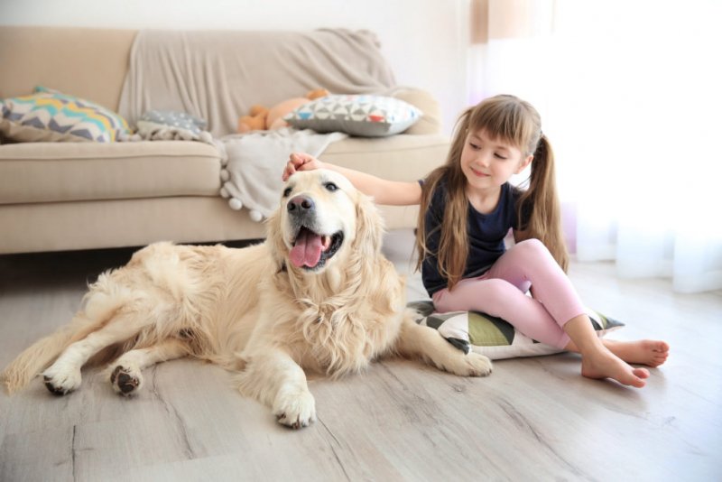 Scratch-Resistant-Flooring-Featured-Image-1024x683